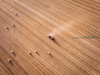 航拍视角下的收割机驰骋金色麦海