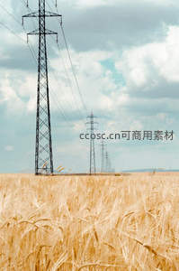 麦田上空高压电塔，现代工业与田园风光交融