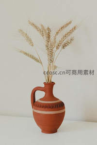 陶罐麦穗静物，自然质朴的丰收之美