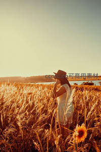 女孩漫步麦田，向日葵相伴的午后时光