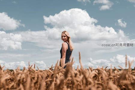 金黄麦田中的优雅回眸