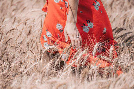 红裙女子轻抚金色麦浪