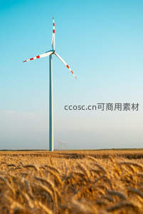 风车矗立麦田，清洁能源与田园诗画