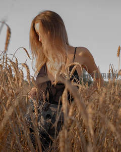 金发女子漫步于成熟麦田之中