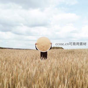 麦田中人举圆镜，镜面反射金色麦浪