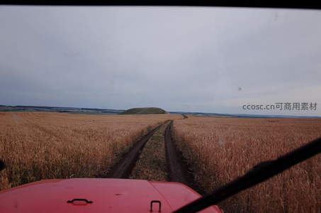 拖拉机驶过麦田，远山如黛