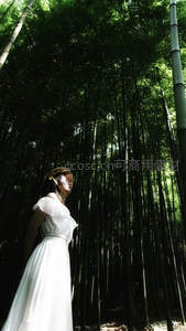 白裙女子伫立竹海深处
