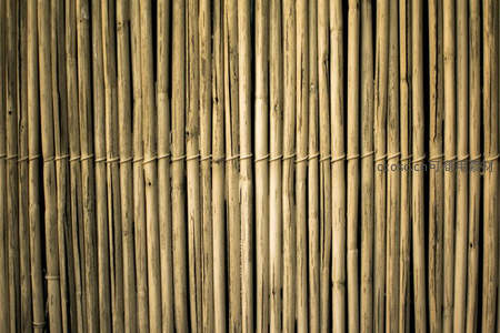竹篱纹理清晰，古朴自然质感