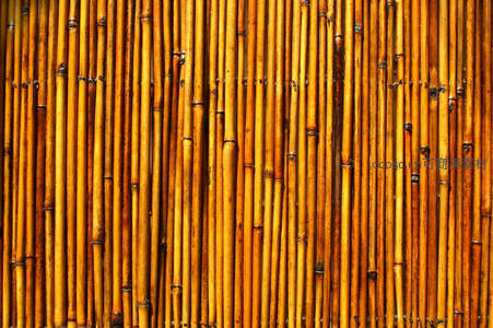 金黄竹竿紧密排列构成温暖纹理背景