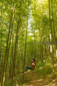 女子独坐竹林斜坡享受午后时光