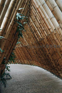 竹廊曲径通幽处，绿影婆娑自然韵