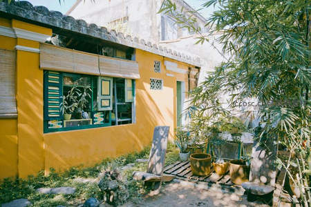 黄色小院，竹影摇曳的悠闲角落