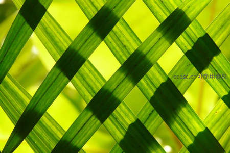 叶片交织构成几何艺术图案