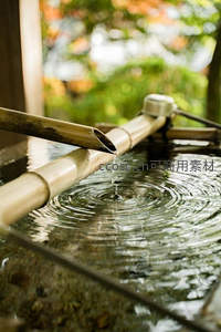 竹筒滴水涟漪，禅意庭院静谧时光