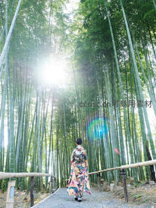 和服女子漫步竹林小径，阳光倾泻如梦