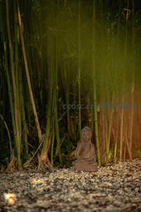 竹林深处的佛像静谧