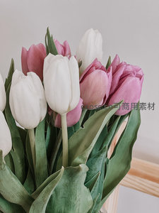 粉色与白色郁金香花束，优雅绽放于室内