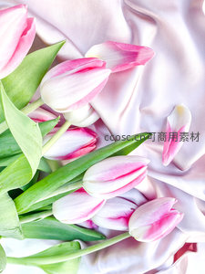 粉白郁金香散落丝缎之上，优雅静谧