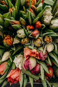 多彩郁金香花束缀满水珠