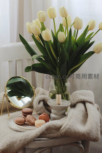 白色郁金香搭配马卡龙静物