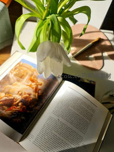 书页旁垂首的白色郁金香静谧时光