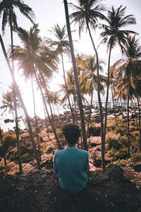 椰林深处，一人静坐远眺海天一色