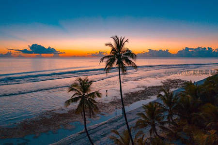 椰影夕阳，海天一色的热带黄昏