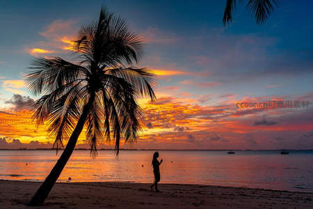 椰影夕阳下，海边漫步的剪影