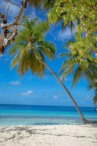 碧海白沙，椰风轻拂的天堂一角