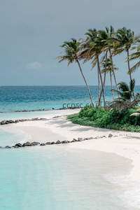 绿洲海岸，椰林与浅滩的静谧之美