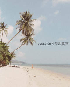 椰影婆娑的热带海滩假日