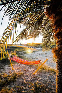 沙滩吊床伴夕阳，椰影婆娑享悠闲