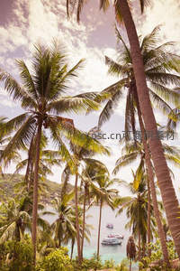 椰林掩映碧海蓝天，游船点缀热带风情