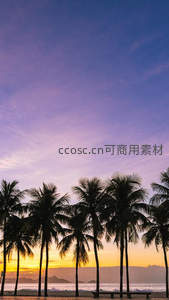 椰影夕阳，海天一色醉人心