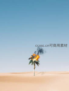 沙漠中燃烧的孤独棕榈树