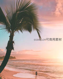 夕阳下海滩垂钓的椰树剪影