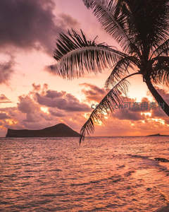 椰影夕阳映海天，远山如黛云霞绚
