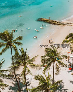 碧海蓝天下的冲浪者与椰林海滩