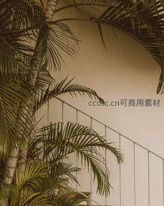 棕榈叶与金属栏杆的静谧角落