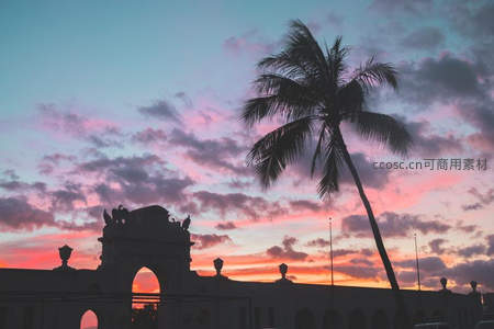 日落时分拱门与椰树剪影