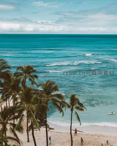冲浪天堂椰林滩，碧海蓝天活力无限