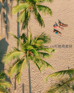 航拍视角下的沙滩椰影与游客