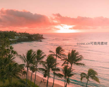 粉霞海岸线与椰林剪影画卷