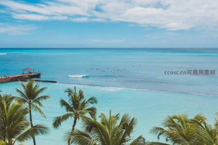 碧海蓝天椰林间，远眺码头浪花涌