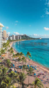 夏威夷威基基海滩全景，椰林与钻石头山相映成趣