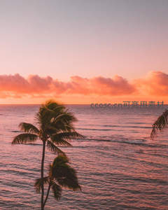 海上椰影映霞光，热带日落如梦似幻
