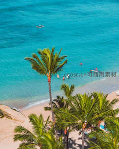 碧海白沙椰影摇，冲浪者畅享热带水上乐趣