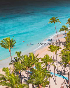 鸟瞰椰林海滩，碧波荡漾人影点点如画