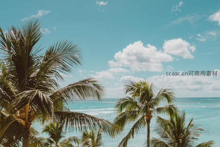 椰林摇曳碧海蓝天相映