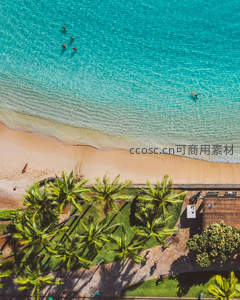 航拍视角下的海滩椰林，碧海白沙如画